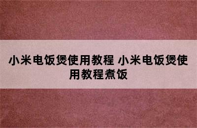 小米电饭煲使用教程 小米电饭煲使用教程煮饭